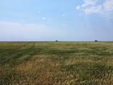 TBD Elm Springs Road - Photo 21