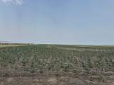 TBD Elm Springs Road - Photo 23