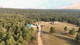 11863 Argyle Road - Photo 44