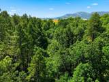 10564 Moller Road - Photo 25