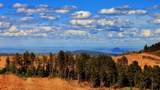 21097 Stewart Slope Road - Photo 22