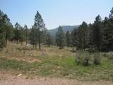 12777 Country View Road - Photo 11
