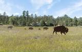 13621 Highway 40 - Photo 6