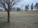 12523 Black Hills Flyway Road - Photo 36