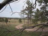 12523 Black Hills Flyway Road - Photo 39