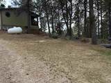 12127 Chickadee Lane - Photo 31