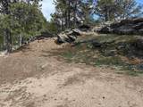 12127 Chickadee Lane - Photo 32