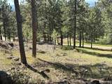 12127 Chickadee Lane - Photo 37