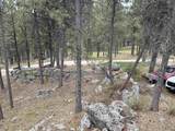 12127 Chickadee Lane - Photo 40
