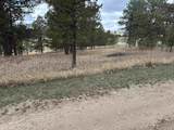 12127 Chickadee Lane - Photo 41