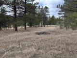 12127 Chickadee Lane - Photo 42