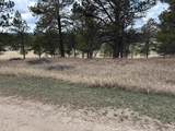 12127 Chickadee Lane - Photo 43