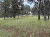 12127 Chickadee Lane - Photo 44