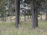 12127 Chickadee Lane - Photo 47