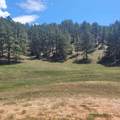 10251 Valley Road - Photo 1