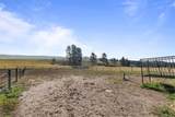 11585 War Bonnet Road - Photo 41