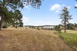 11585 War Bonnet Road - Photo 43