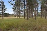 11585 War Bonnet Road - Photo 44