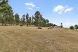 11585 War Bonnet Road - Photo 46
