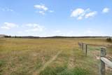 11585 War Bonnet Road - Photo 47