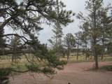 12523 Black Hills Flyway Road - Photo 24