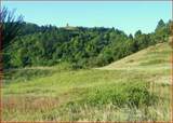 Tract 12A Lookout Vista Road - Photo 18