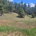 10251 Valley Road - Photo 11