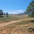 10251 Valley Road - Photo 12
