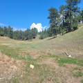 10251 Valley Road - Photo 13