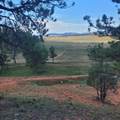 10251 Valley Road - Photo 14