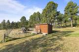 11585 War Bonnet Road - Photo 33