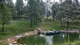 24271 Rushmore Ranch Road - Photo 4