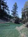 22869 Norris Peak Road - Photo 11