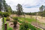 24271 Rushmore Ranch Road - Photo 34