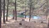 24271 Rushmore Ranch Road - Photo 43