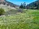 12909 Sheps Canyon Road - Photo 5