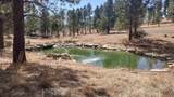 24271 Rushmore Ranch Road - Photo 42