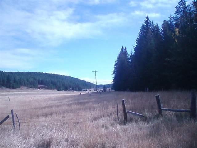 T.B.D. Nemo Road - Photo 1