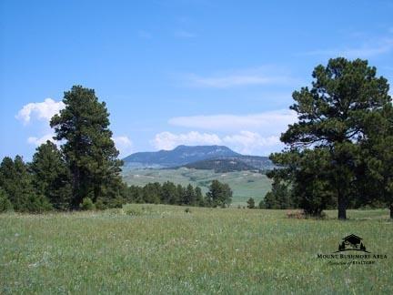 TBD Broad Axe Rd. - Photo 1