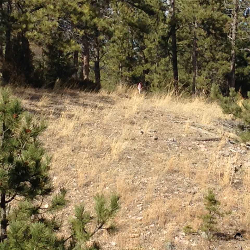 TBD Ridgeview & Grandview Drive - Photo 1