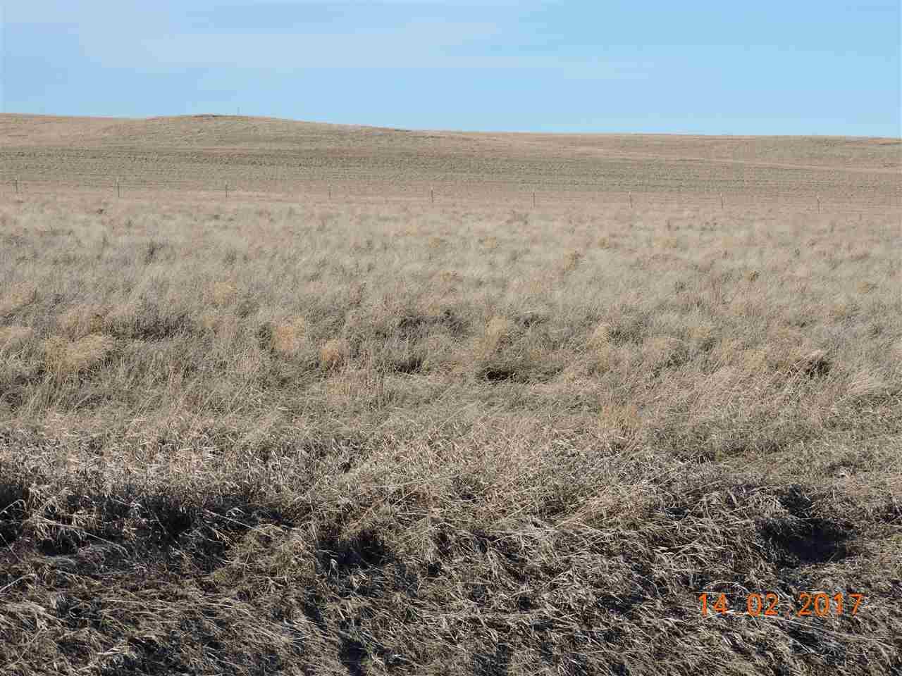 10792 Halle Rae Lane - Photo 1