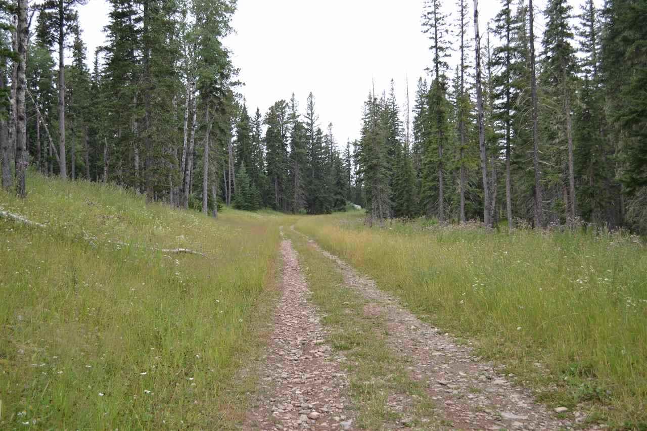 Lot 35 Woodland Springs Road - Photo 1