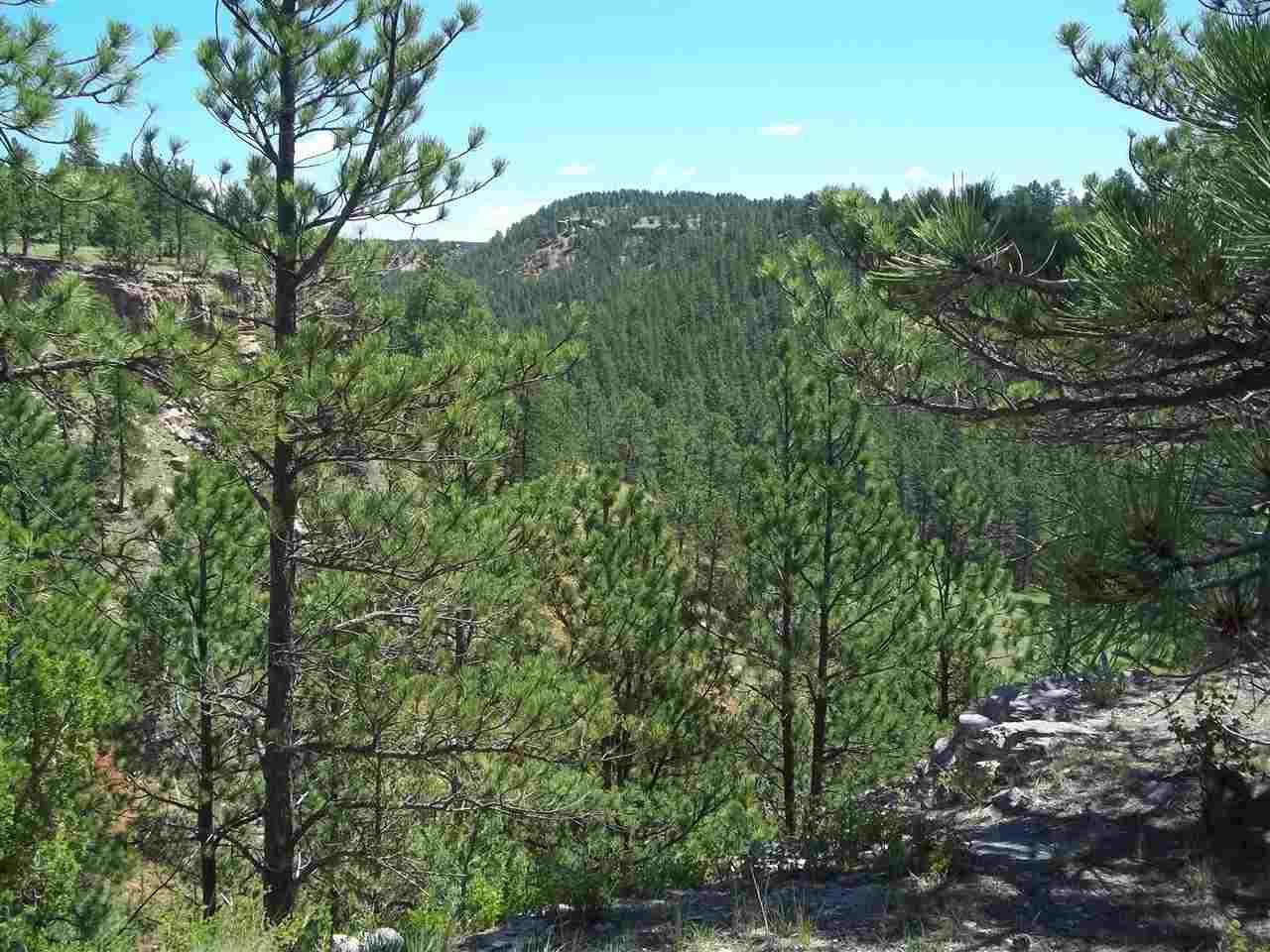 TBD Remington Rd - Photo 1