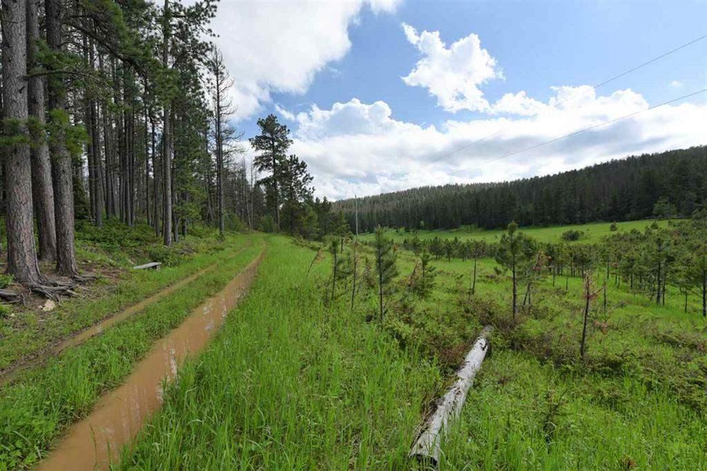 Tract B1 Frosty Meadows Road - Photo 1