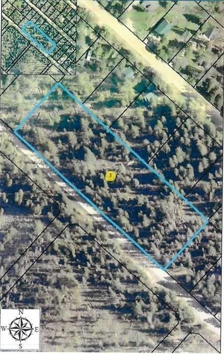 Lot 31 Antelope Trail - Photo 1