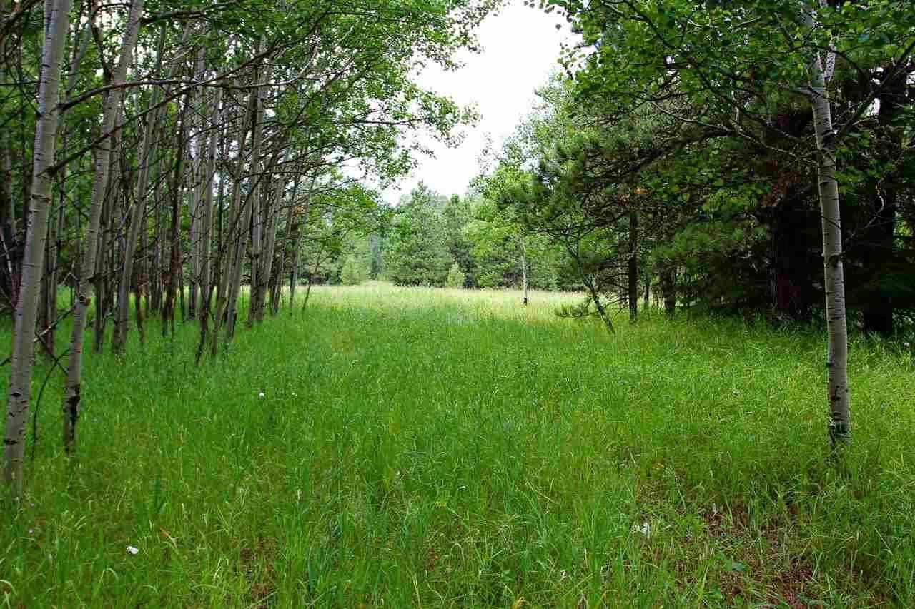 Lot 4 Gumpy Ridge - Photo 1