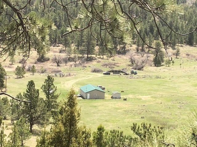 137 Ruger Road - Photo 1