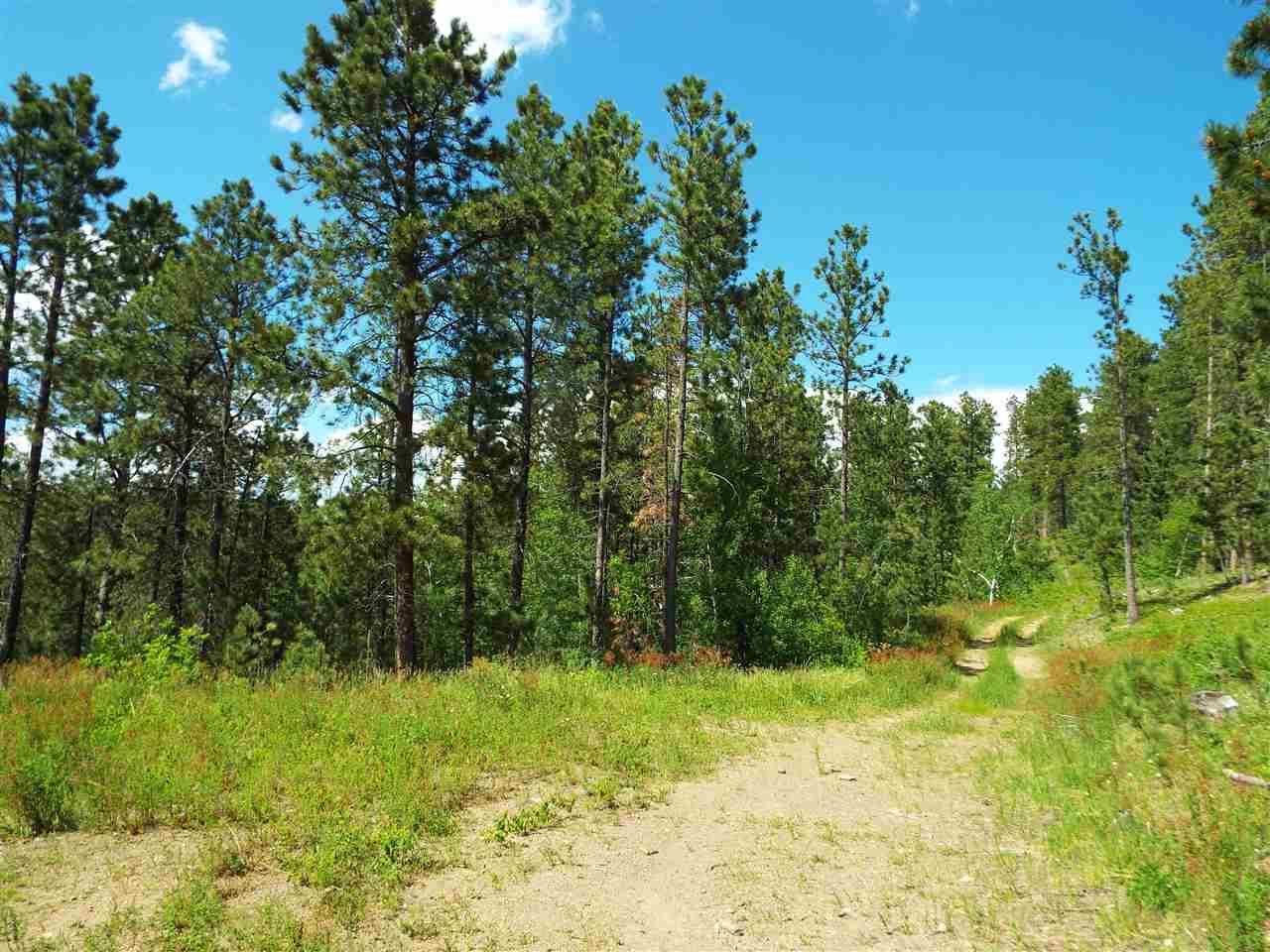 6 Rocky Point Road - Photo 1