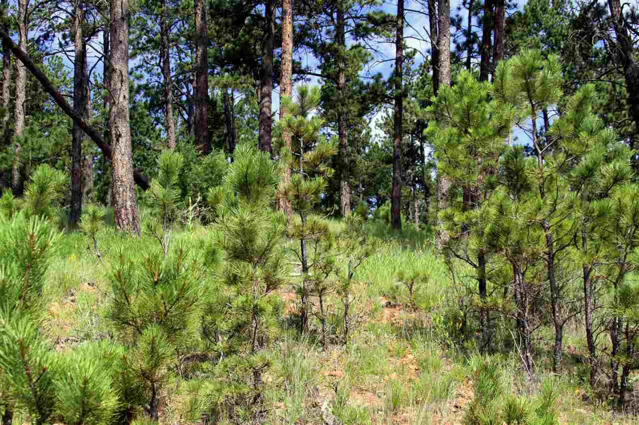 Lot 16 Wolf Lane - Photo 1