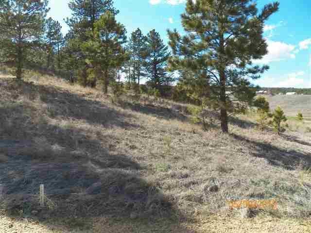 2125 Bison Pass - Photo 1